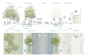 Layout öffentlicher Raum – Querschnitt.png