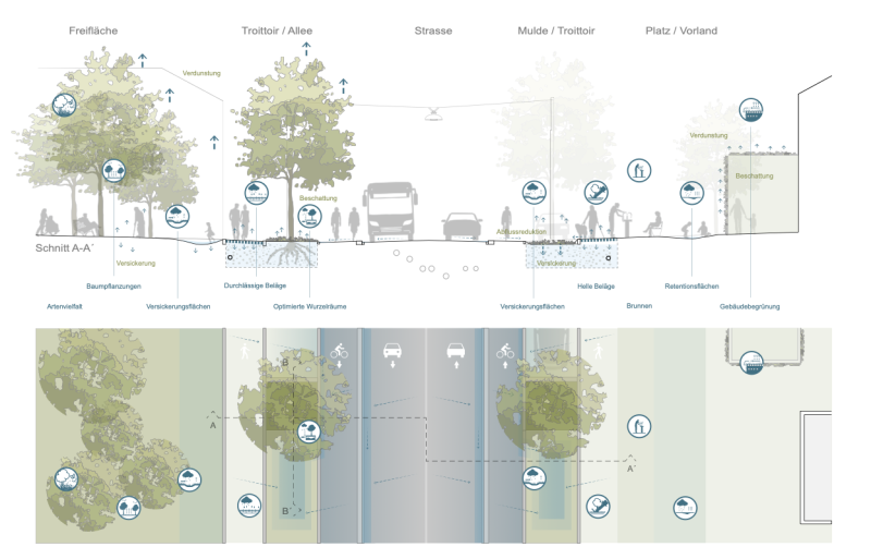 Datei:Layout öffentlicher Raum – Querschnitt.png