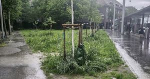 Beispiel Umgang mit Niederschlagswasser.jpg