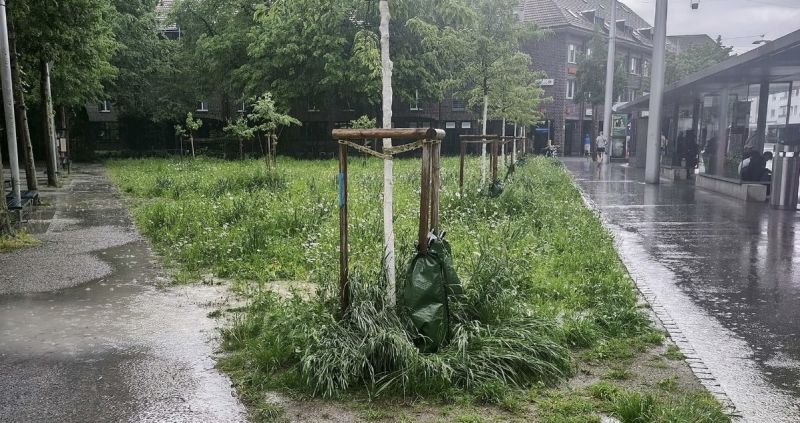 Datei:Beispiel Umgang mit Niederschlagswasser.jpg