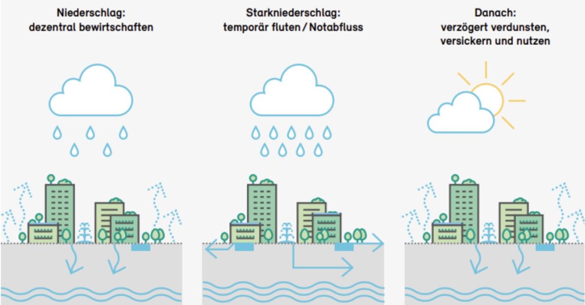 Regen versickert und verdunstet im Siedlungsraum.
