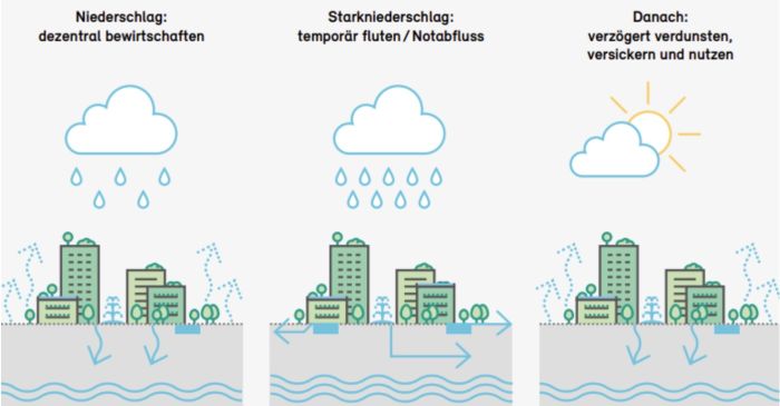 Regen versickert und verdunstet im Siedlungsraum.