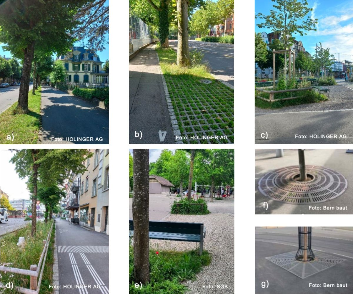 alt= Beispiele von Bäumen in Kombination mit Flächenversickerung (AE / AV < 5); Situationen a), b) und d) zeigen Bäume in Grünstreifen. Alle anderen Situationen entsprechen Bäumen mit einer begrenzten Baumgrube und einer definierten Baumscheibe (Einzelbaumscheibe).